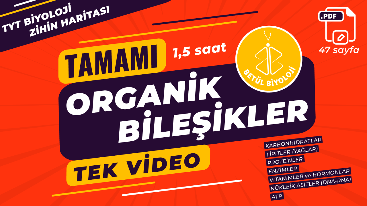 organik_bileşikler