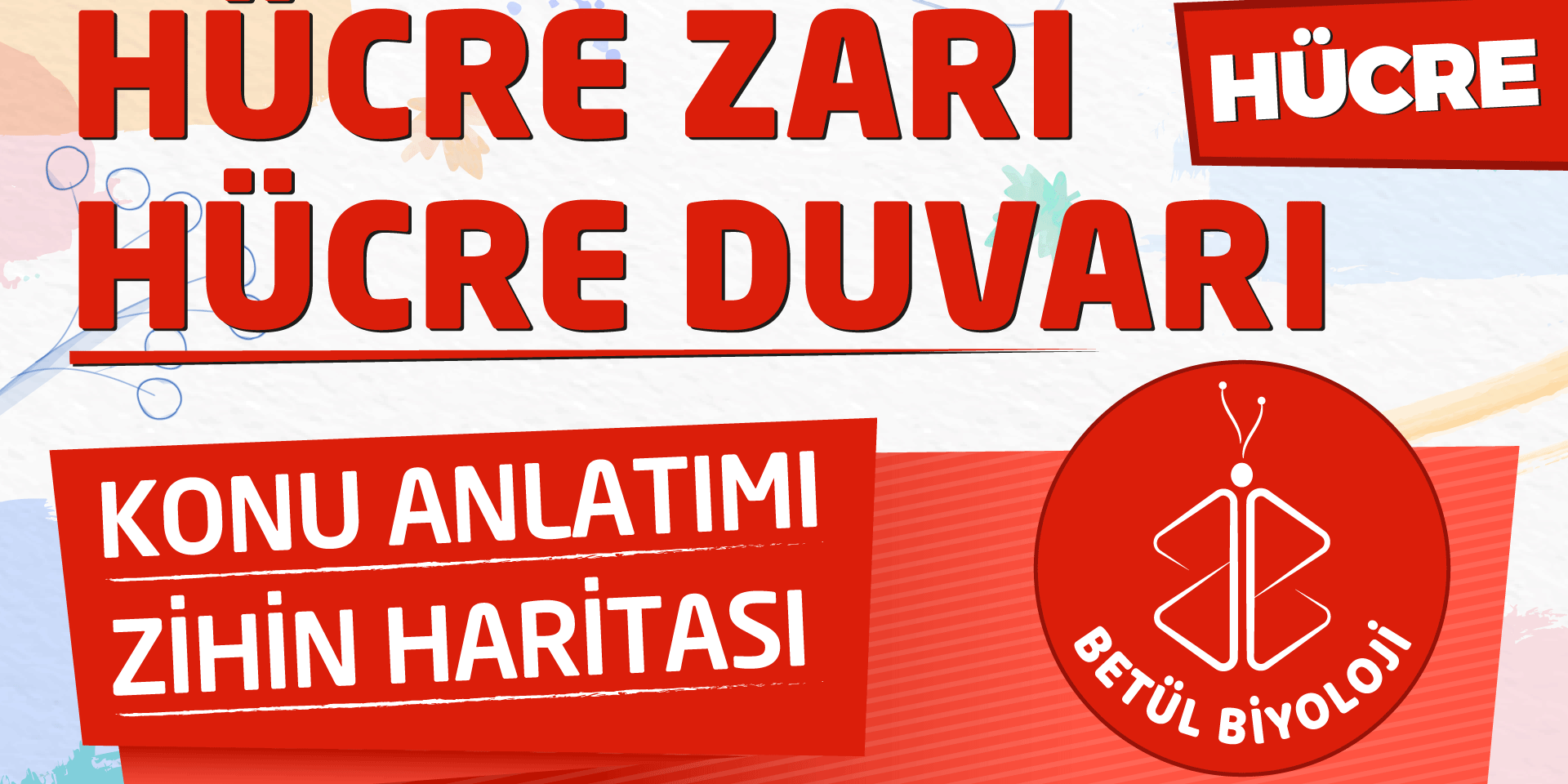 hücre_duvarı_hücre_zarı