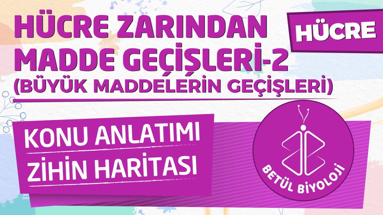 hücre_zarından_madde_gecisleri