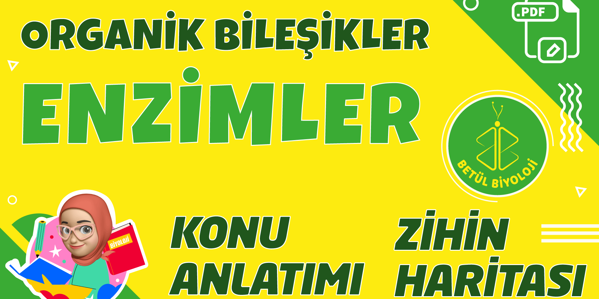 enzimler