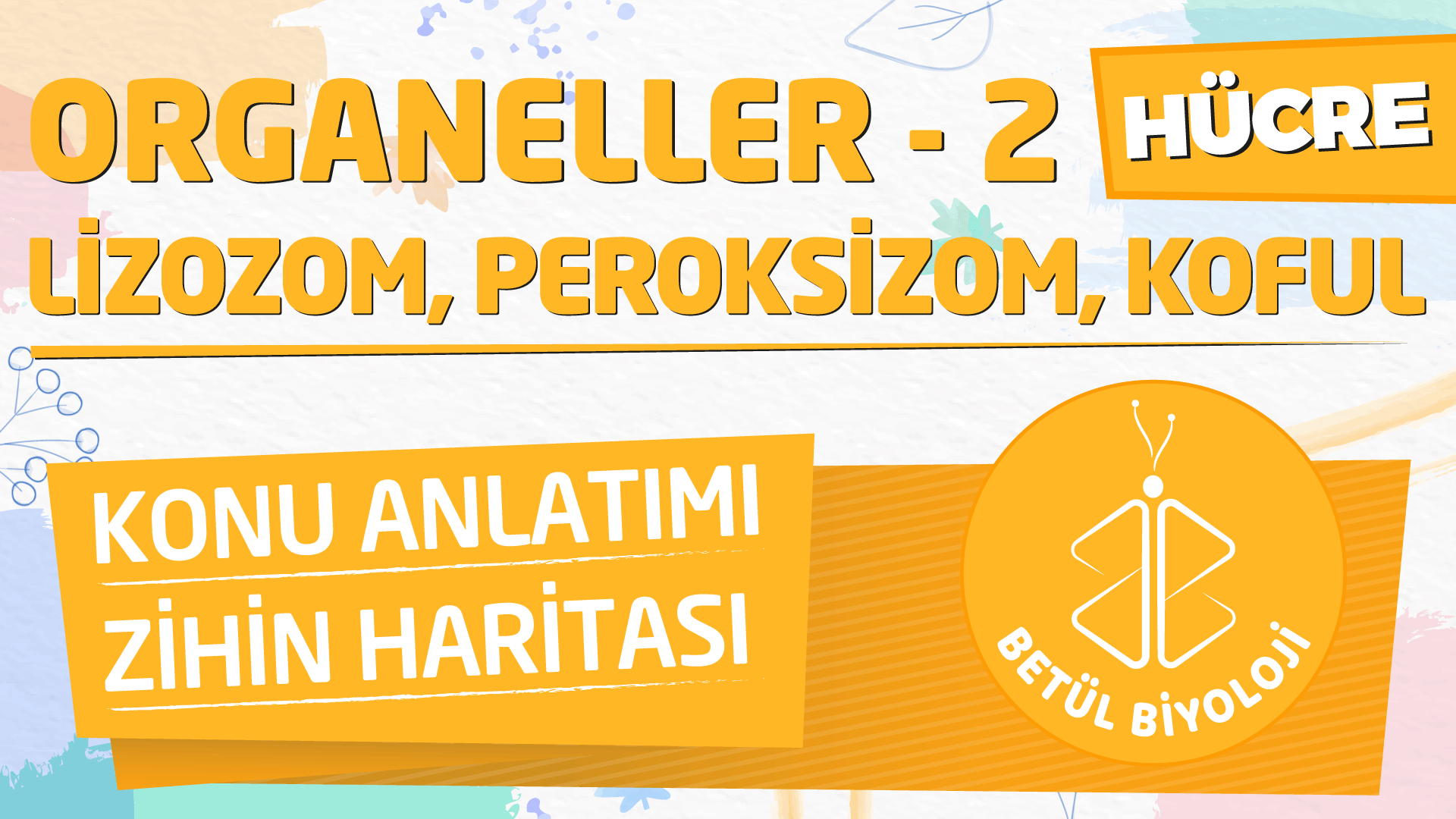 organeller_lizozom_peroksizom_koful