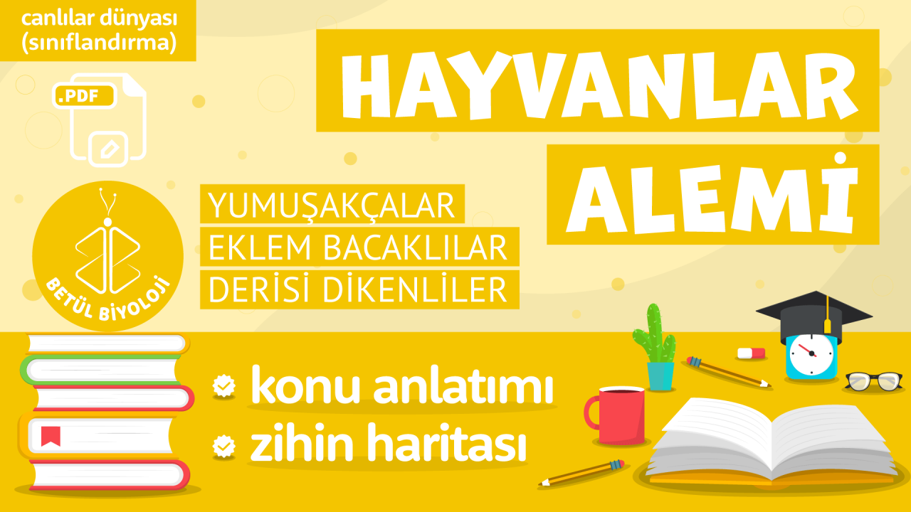 hayvanlar_alemi_omurgasız_hayvanlar.png