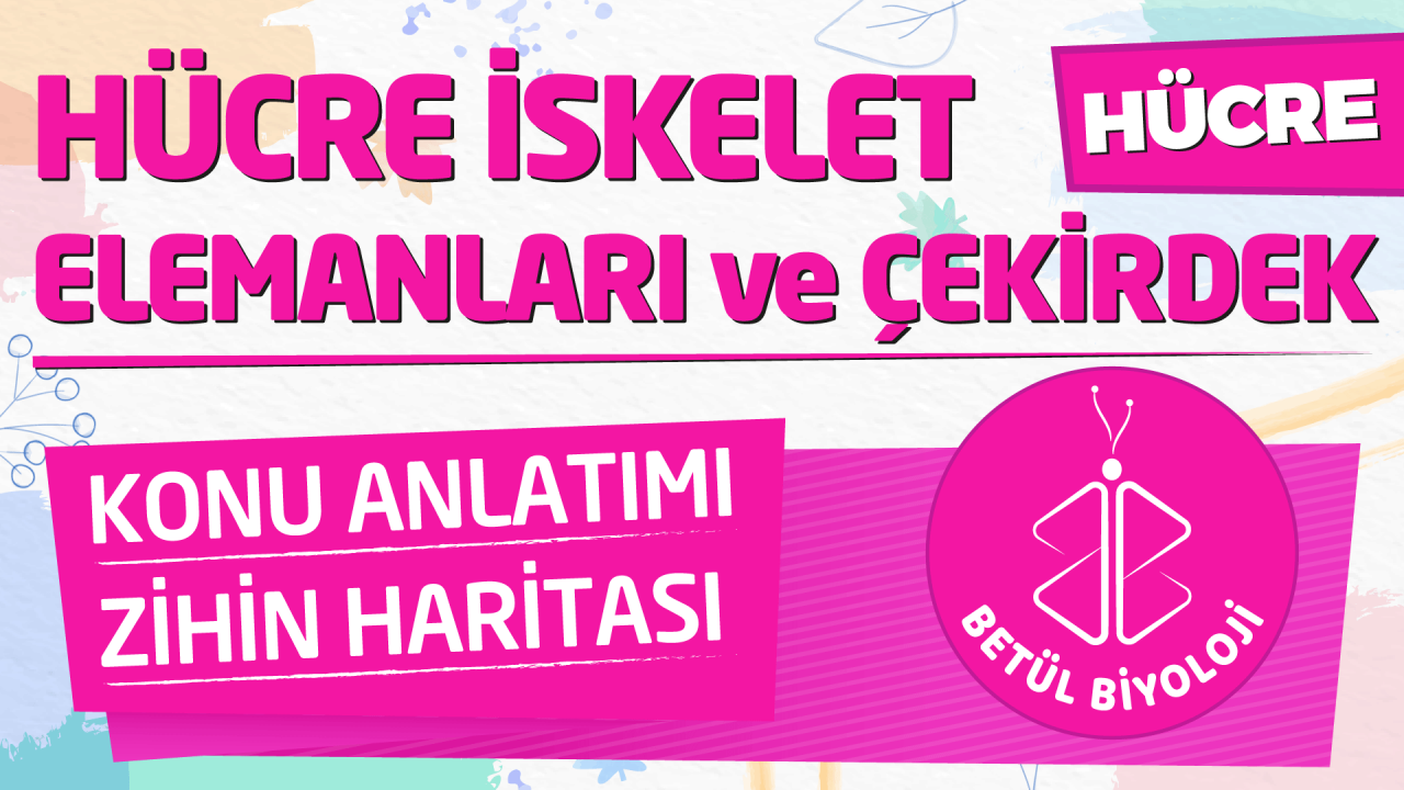 hücre_iskelet_elemanları_çekirdek