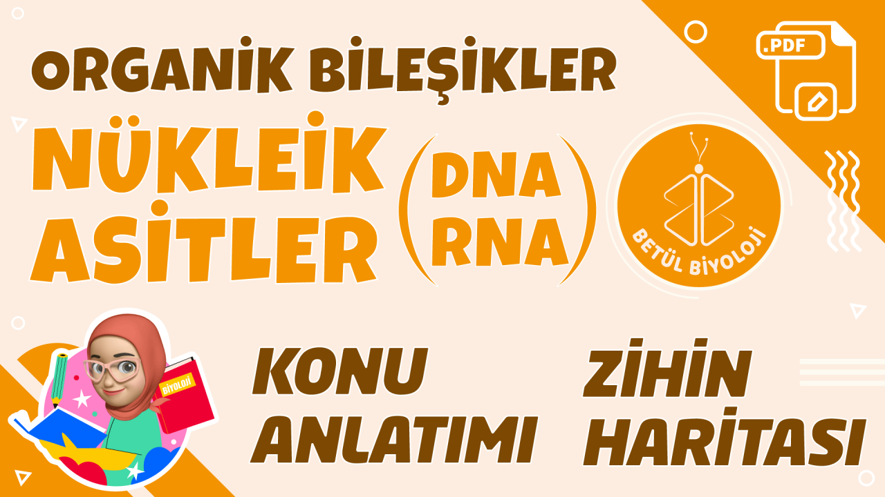 nükleik_asitler_DNA_RNA