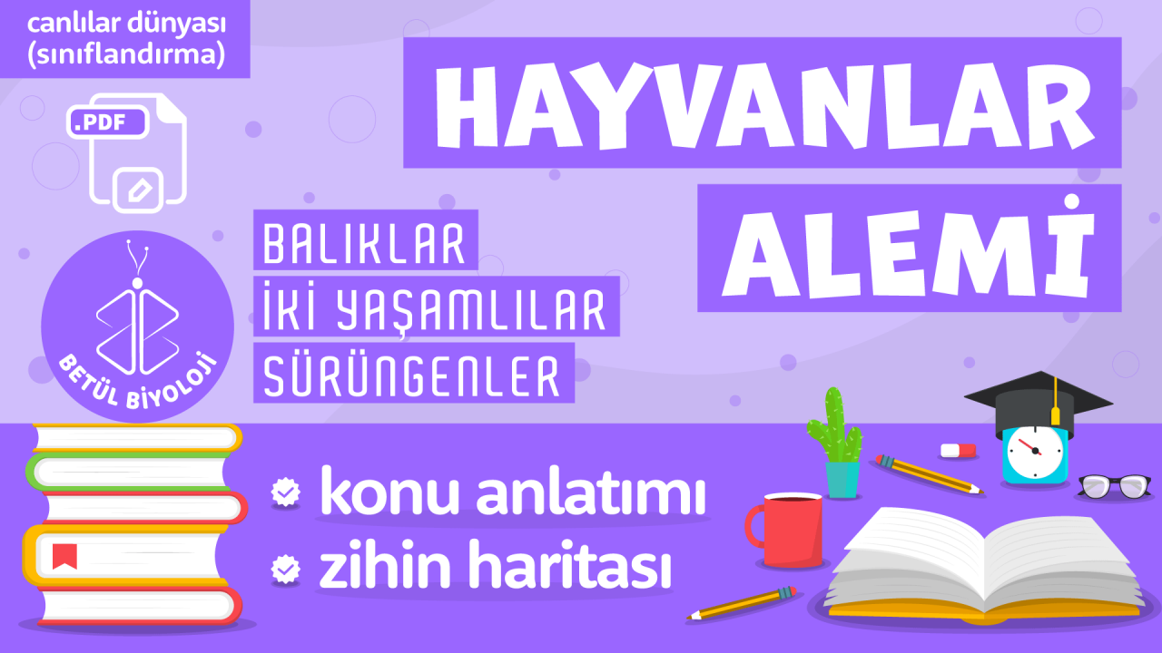 hayvanlar_alemi_omurgalı_hayvanlar.png