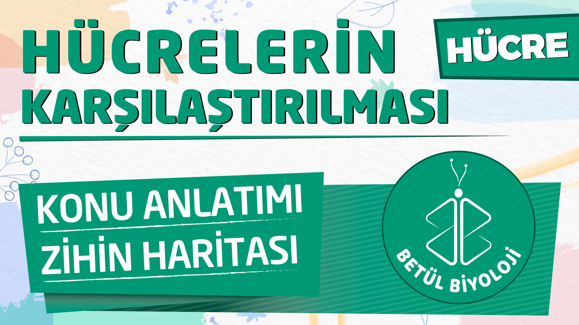 hücrelerin_karşılaştırılması
