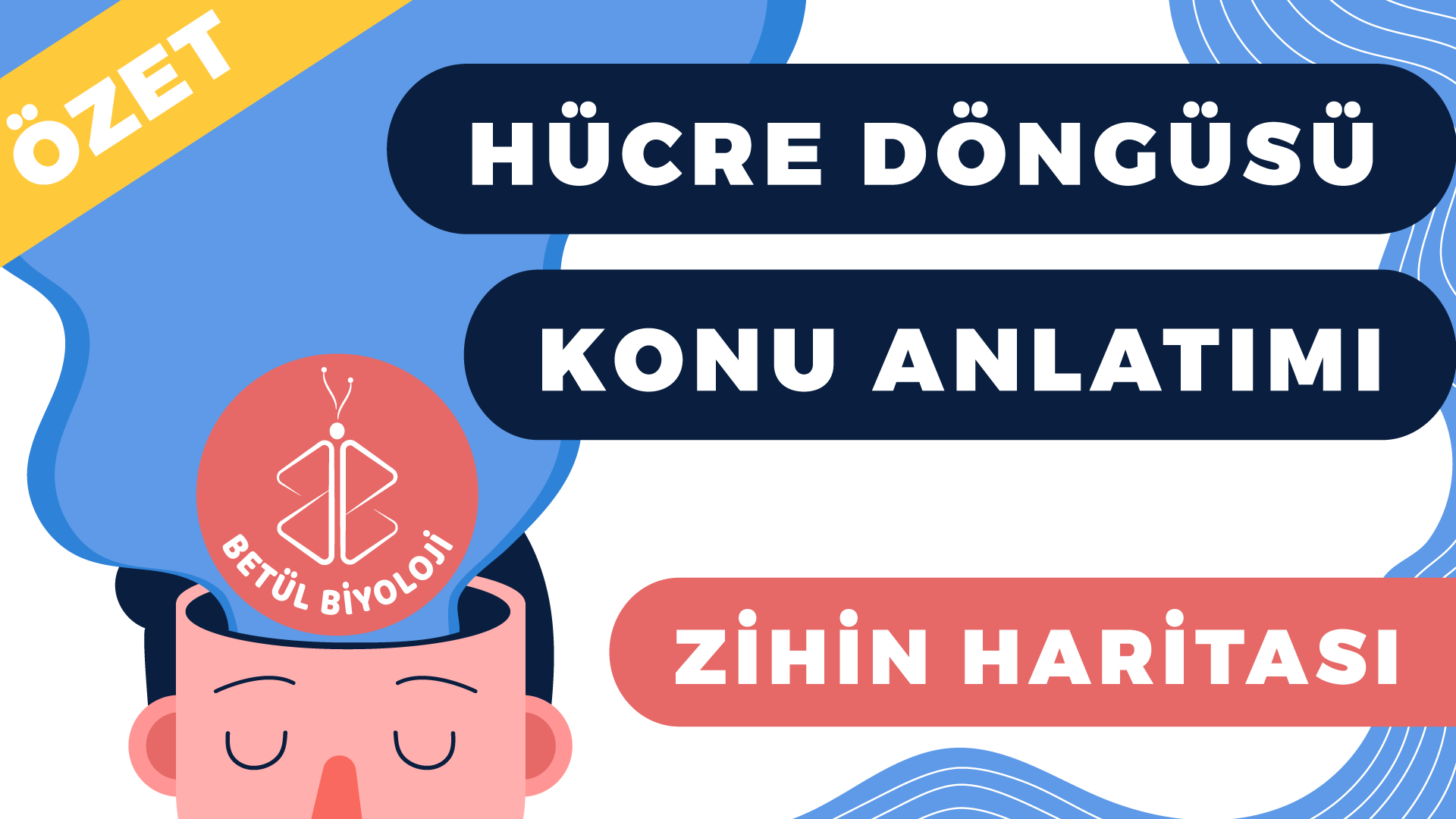 hücre_döngüsü