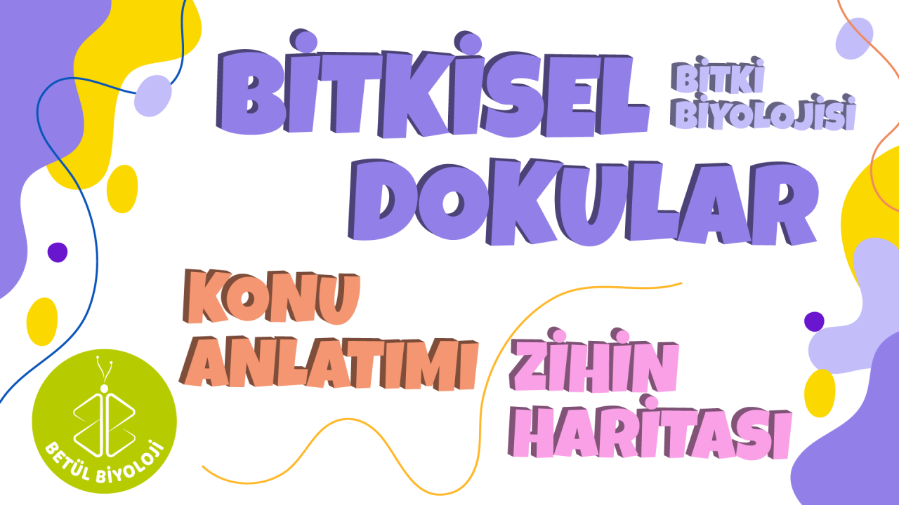 bitkisel_dokular_konu_anlatımı