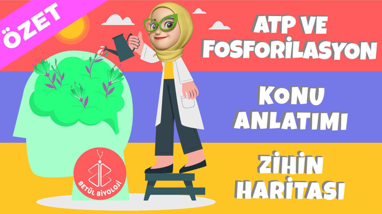 ATP_ve_fosforilasyon_çeşitleri_ayt_biyoloji