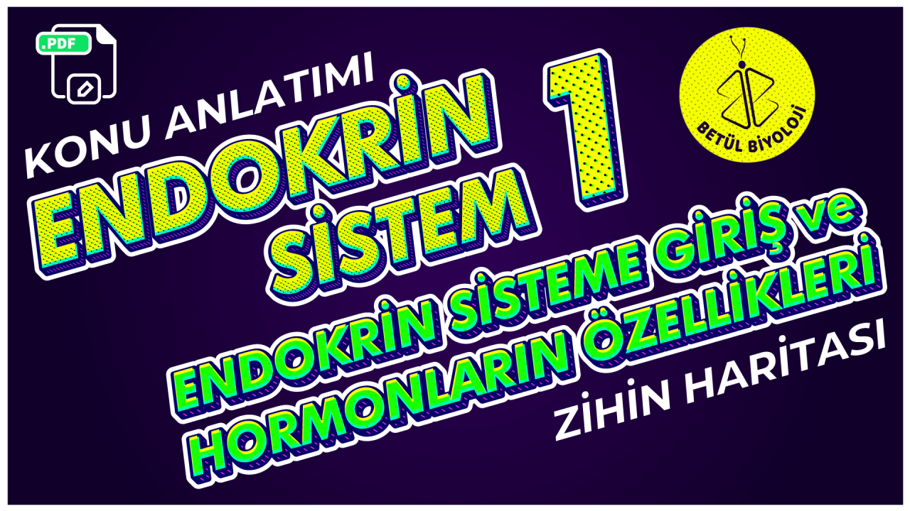 endokrin_sisteme_giriş_hormonların_özellikleri_betül_biyoloji