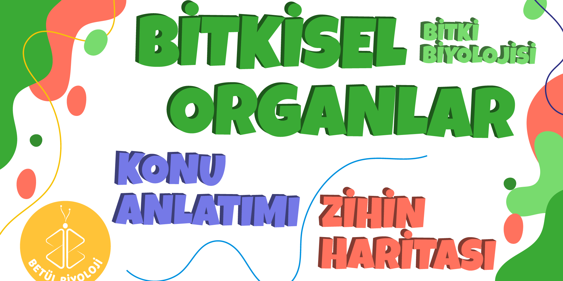 bitkisel_organlar_konu_anlatımı_biyoloji