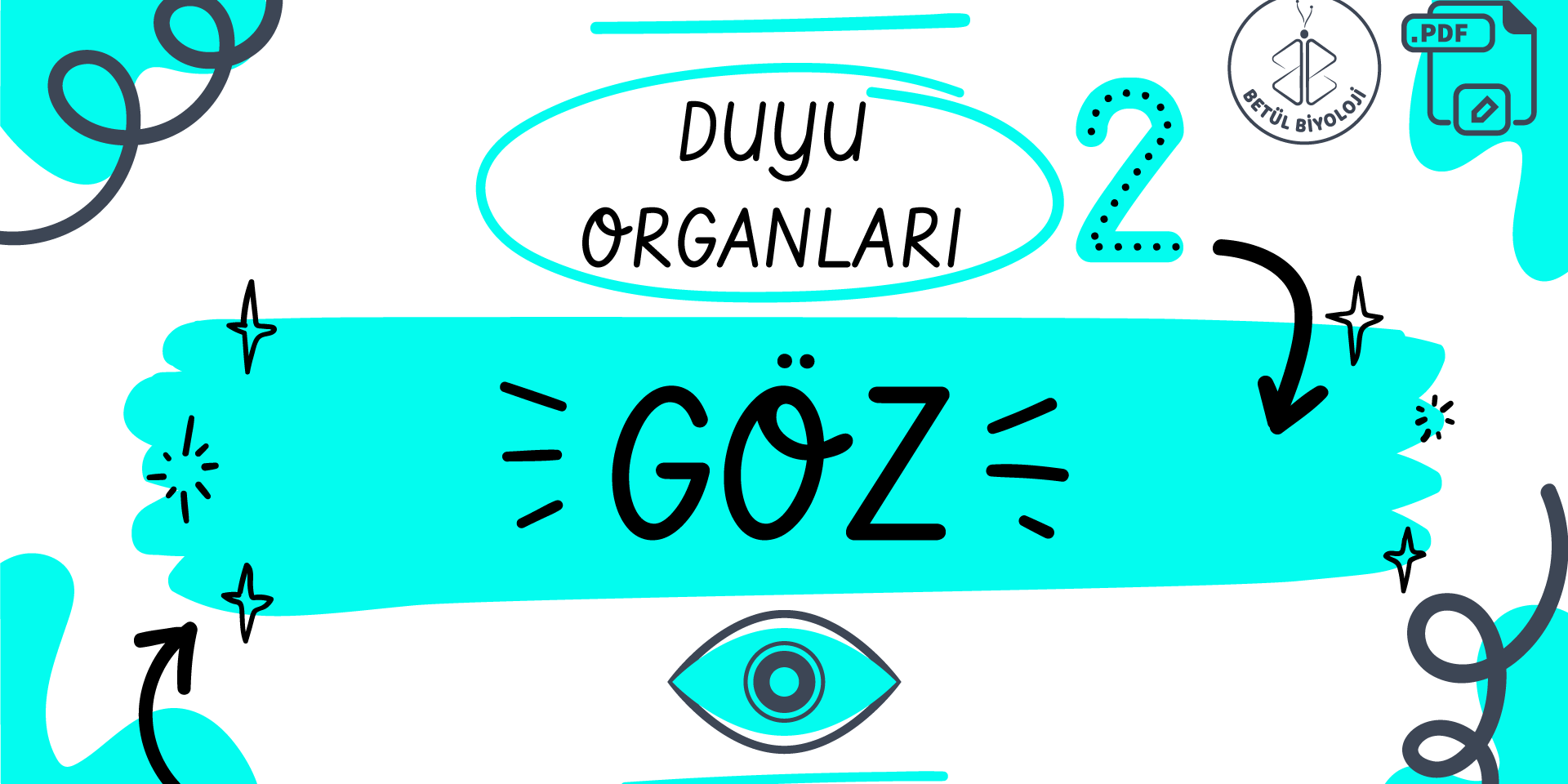 duyu_organları_göz