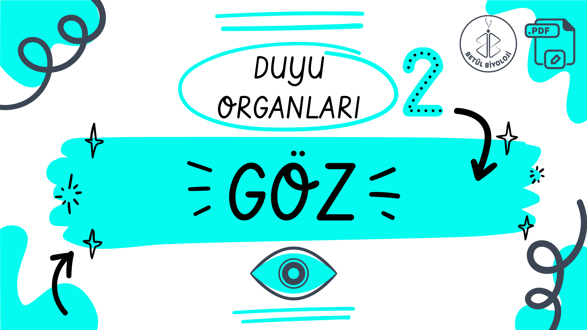 duyu_organları_göz