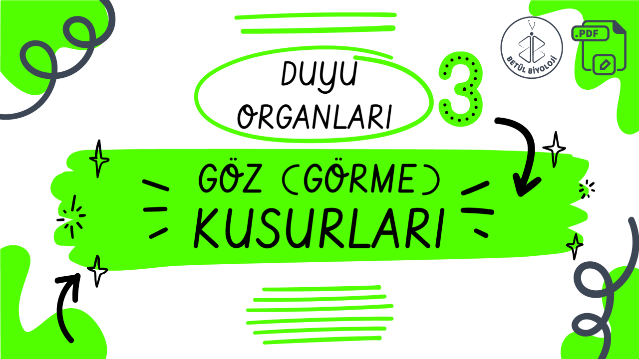 Göz(görme)_kusurları_duyu_organları