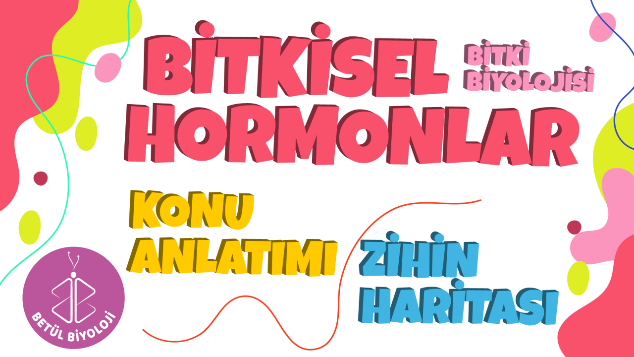 bitkisel_hormonlar_konu_anlatımı_biyoloji_özet