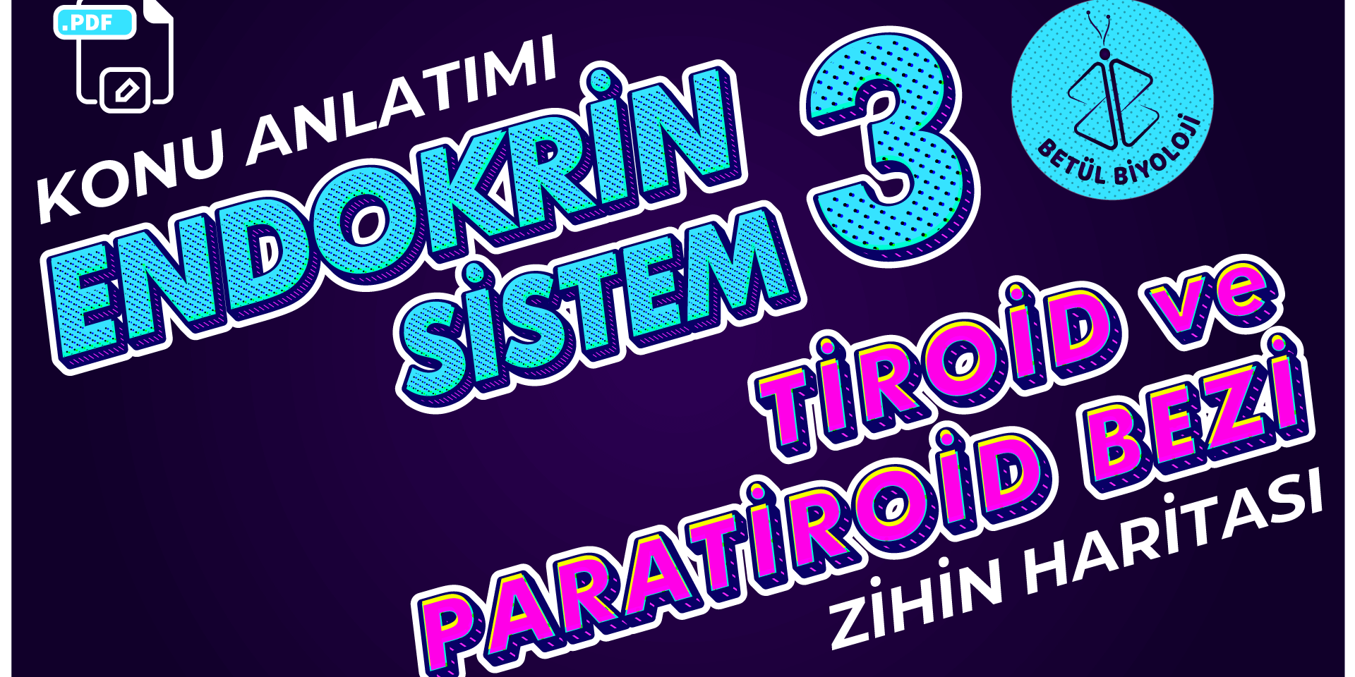 ndokrin_sistem_3_tiroid_ve_paratiroid_bezi