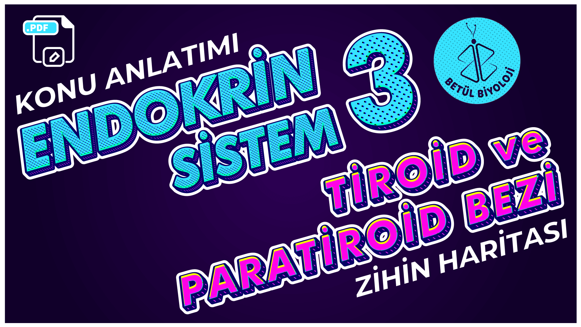 ndokrin_sistem_3_tiroid_ve_paratiroid_bezi