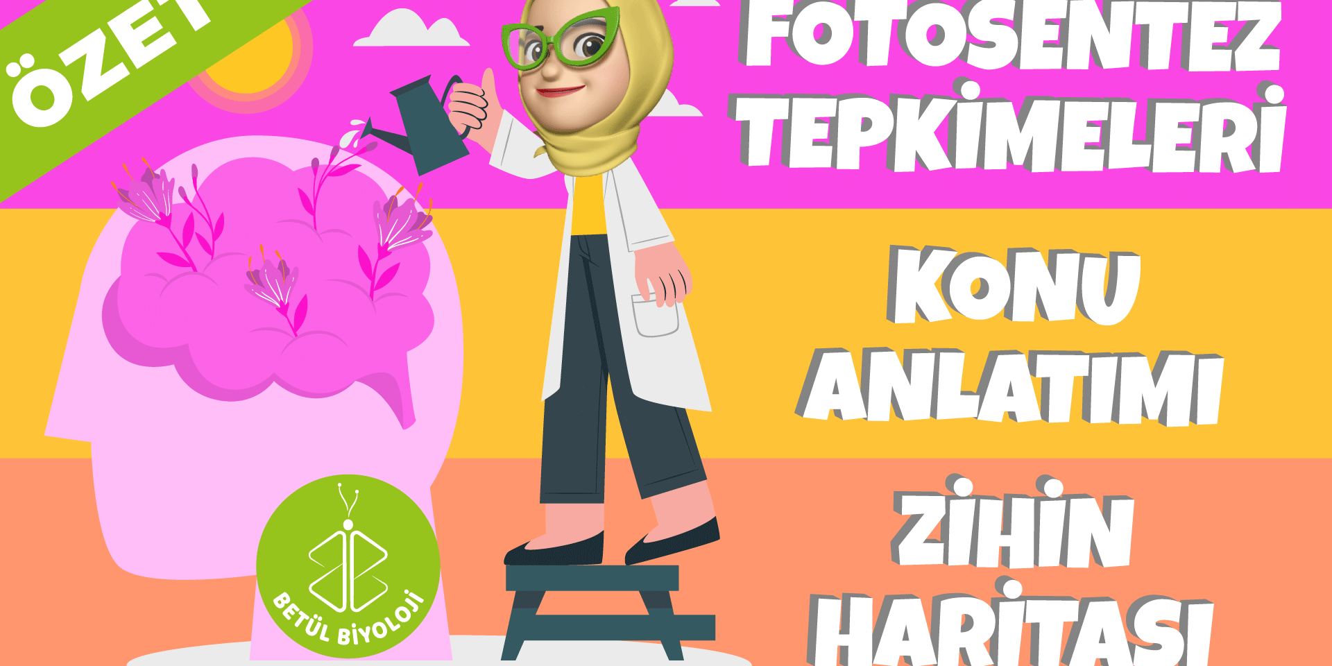 fotosentez_tepkimeleri_konu_anlatımı_özet_biyoloji_12.sınıf