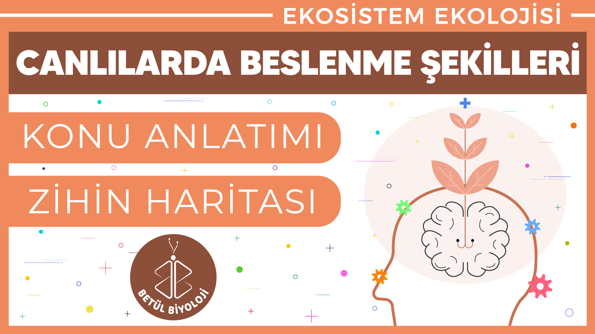 canlılarda_beslenme_şekilleri