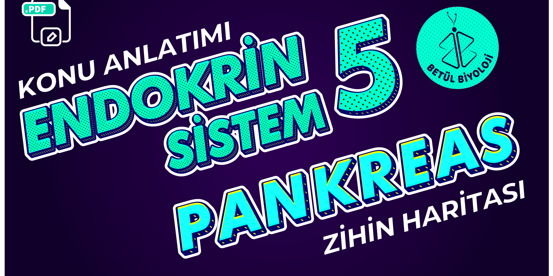 endokrin_sistem_5_pankreas