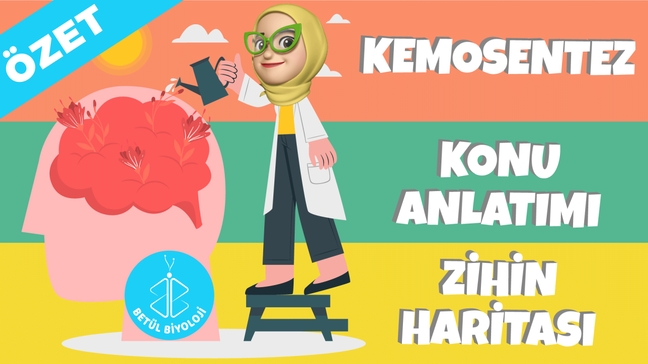 kemosentez_konu_anlatımı_kemosentez_özet_ayt_biyoloji