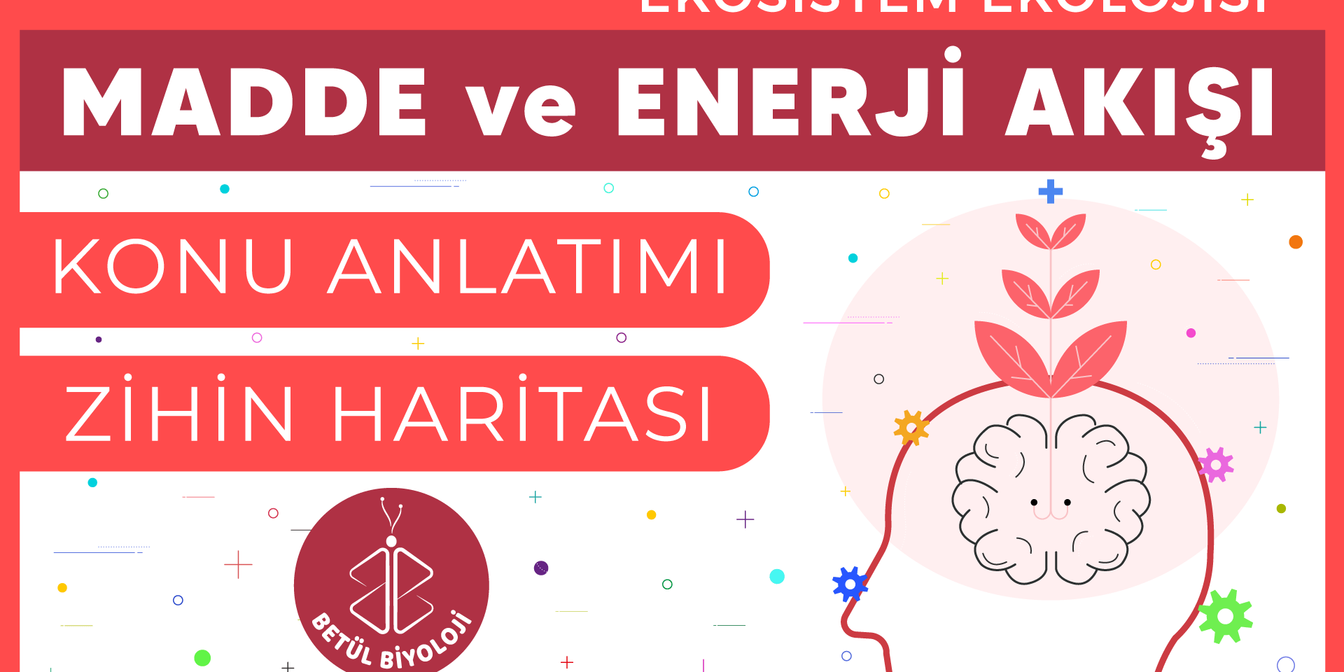 madde_ve_enerji_akışı