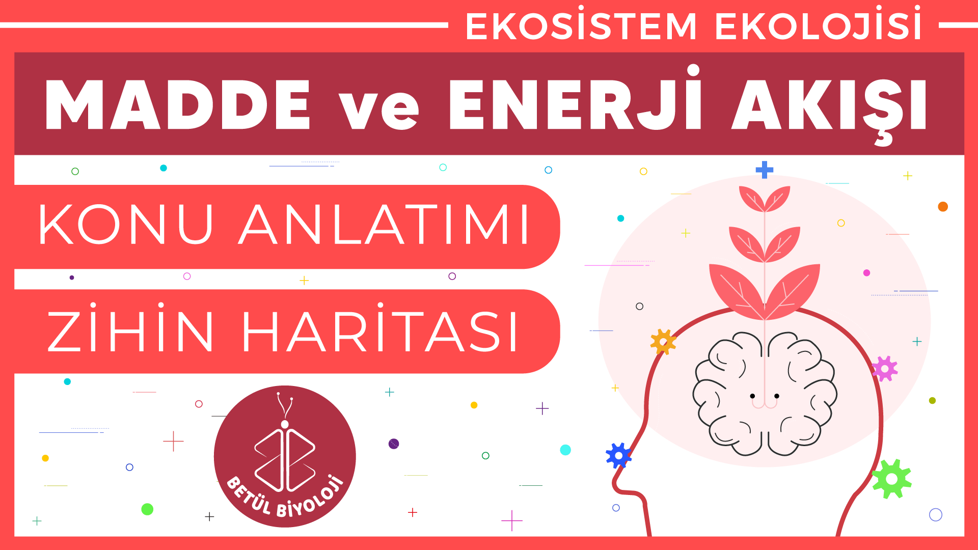 madde_ve_enerji_akışı