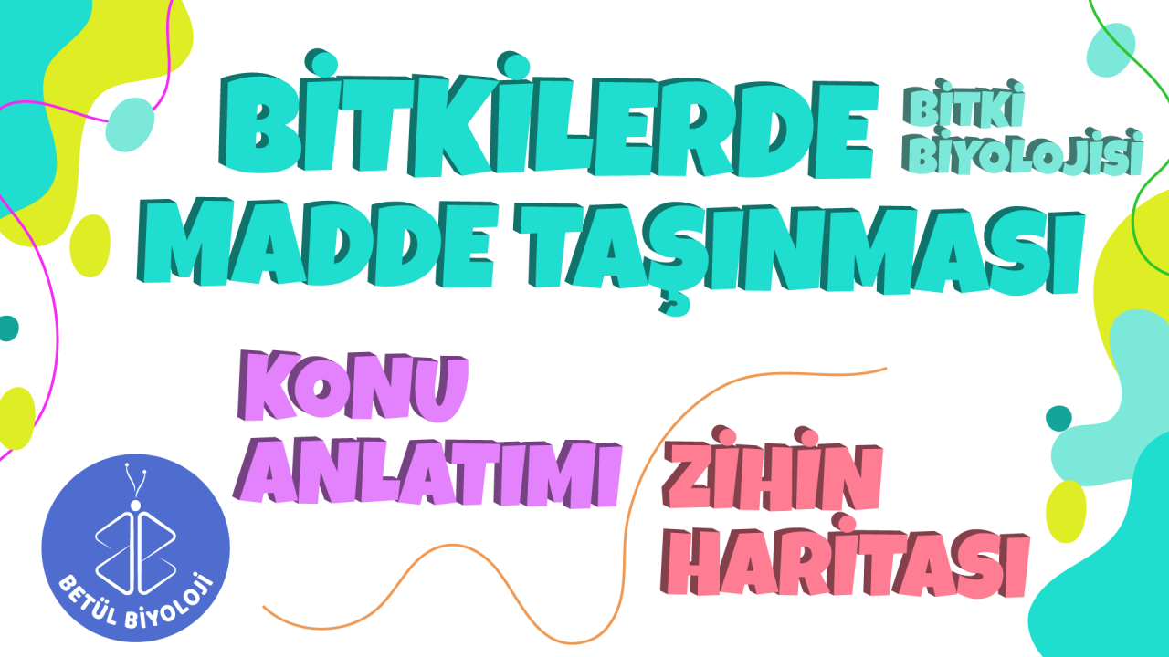 bitkilerde_madde_taşınması_konu_anlatımı_biyoloji