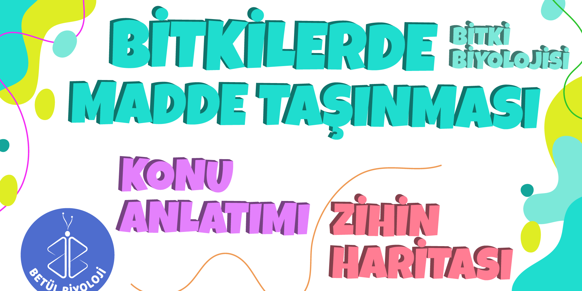 bitkilerde_madde_taşınması_konu_anlatımı_biyoloji