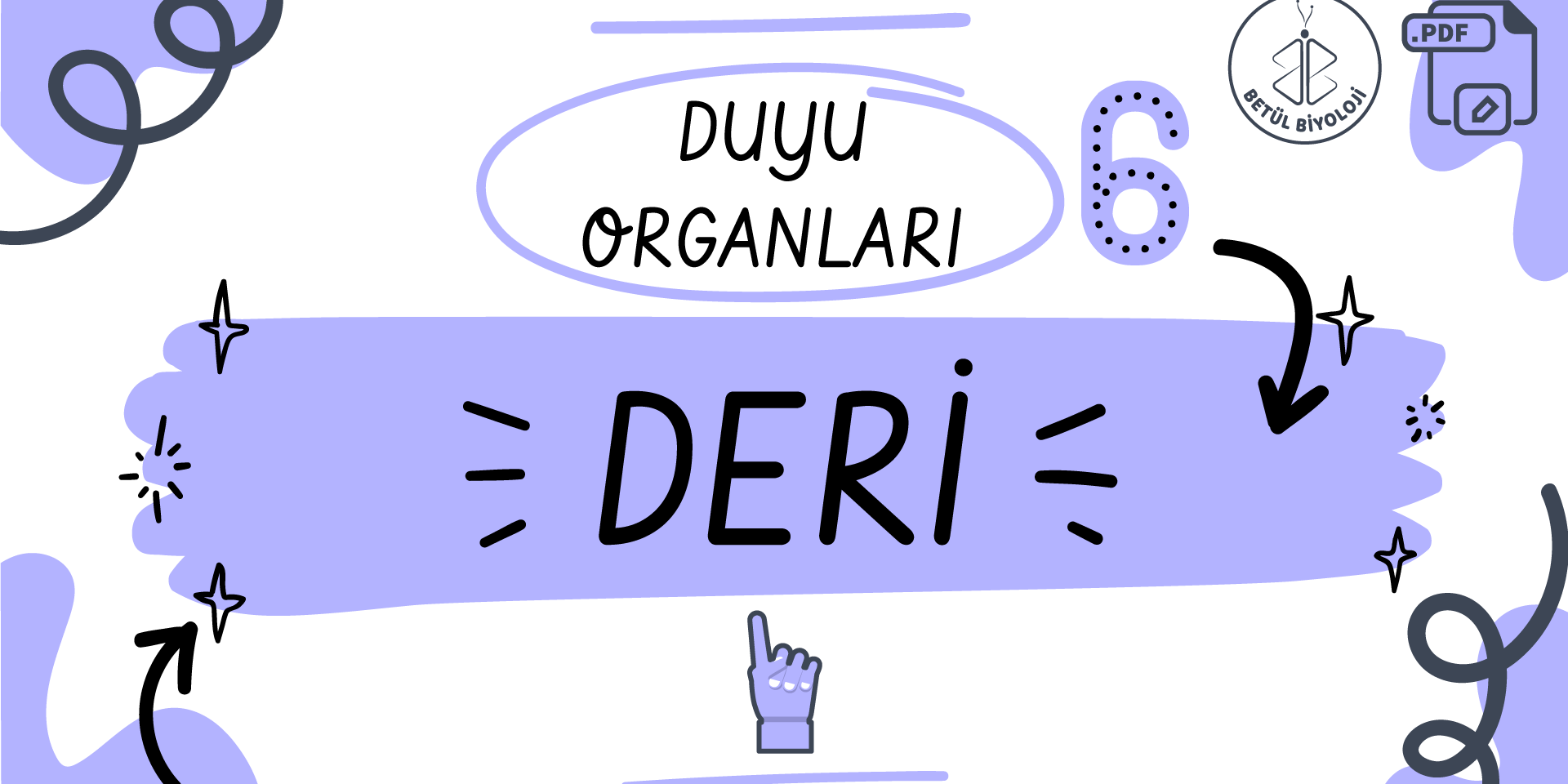 duyu_organları_deri_betül_biyoloji