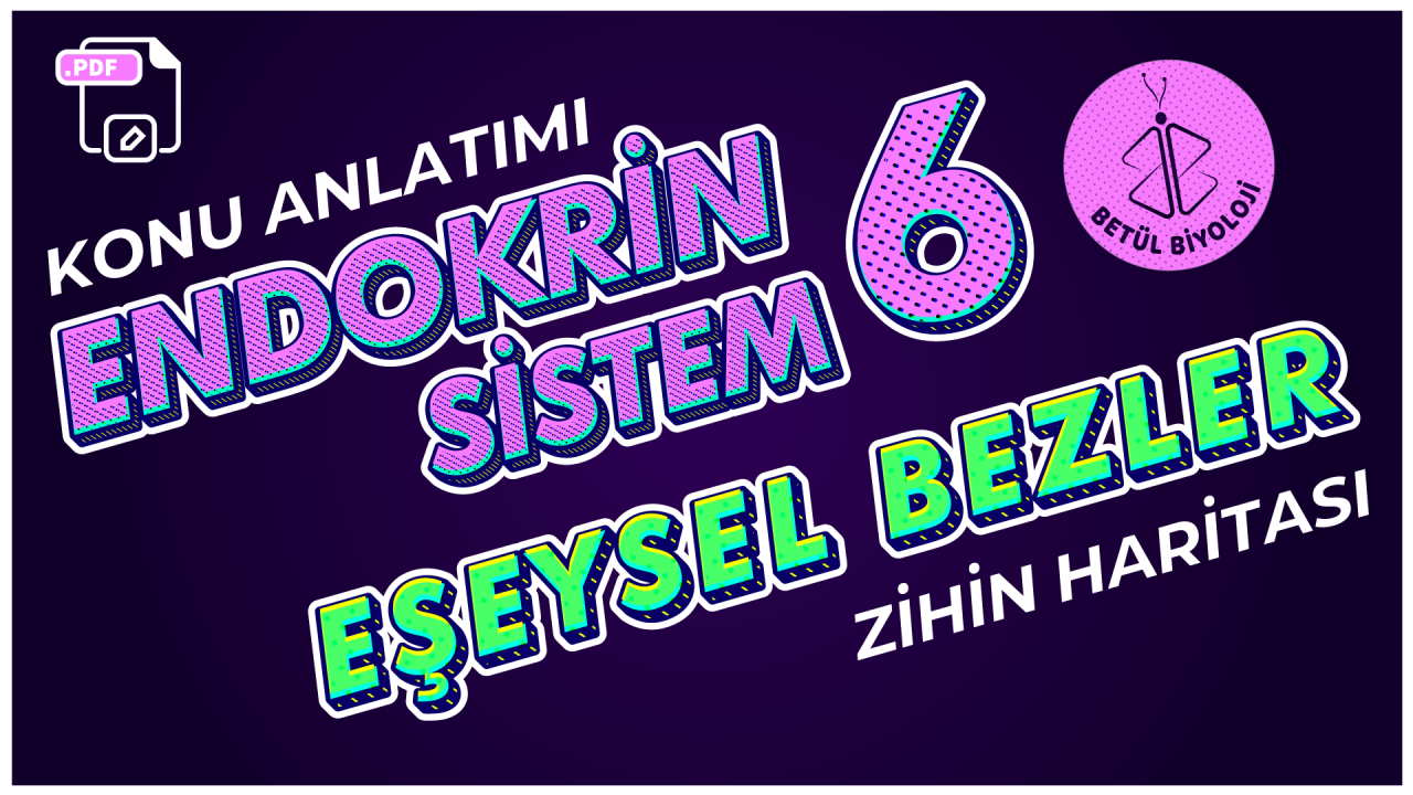 endokrin_sistem_6_eşeysel_bezler