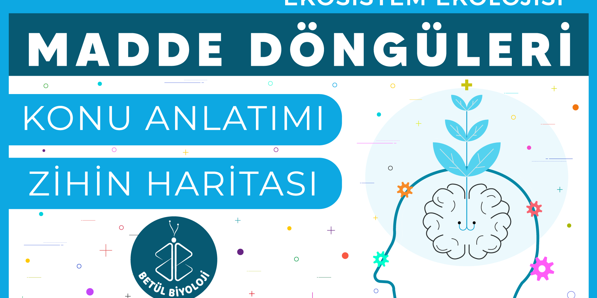 madde_döngüleri