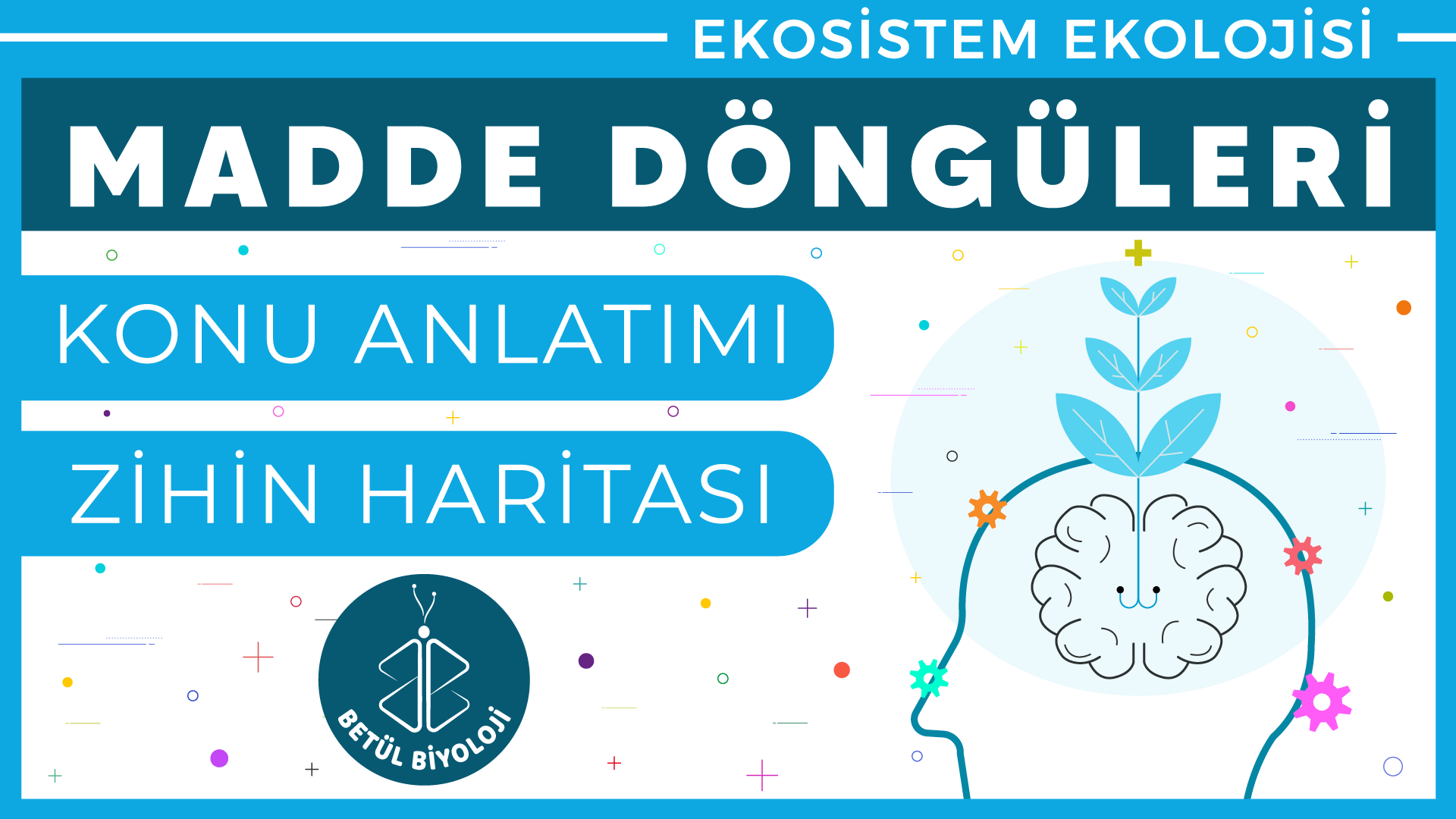 madde_döngüleri