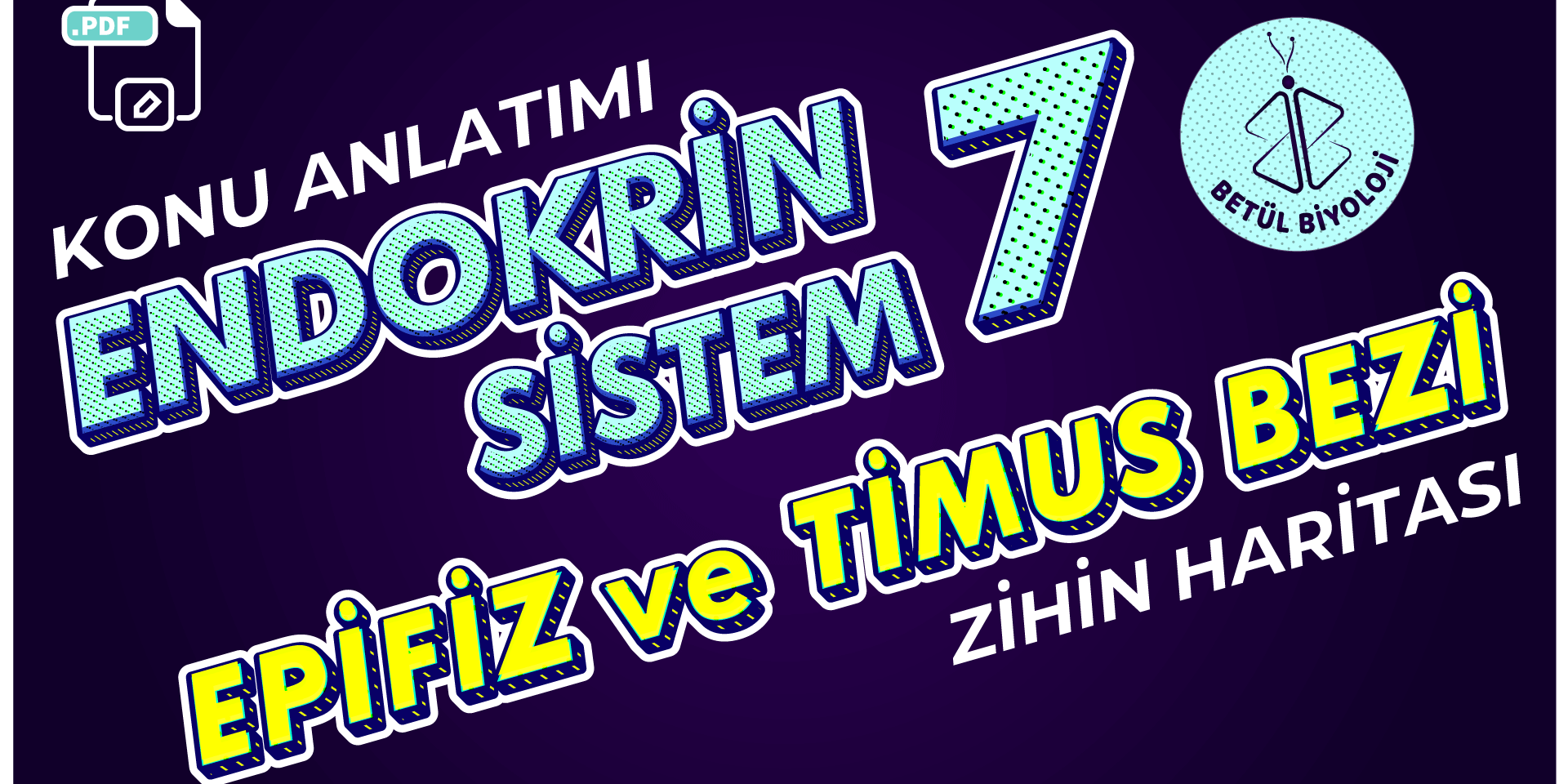 endokrin_sistem_7_epifiz_timus_bezi