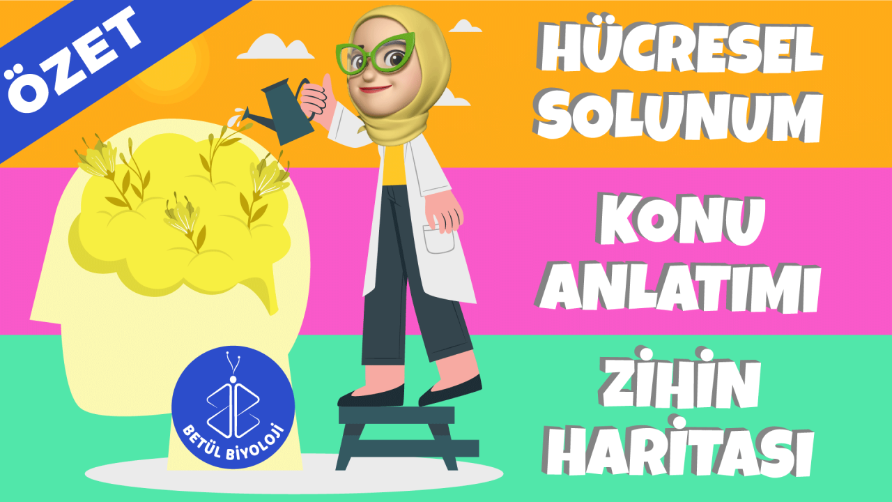 hücresel_solunum_konu_anlatımı_biyoloji_özet_zihin_haritası