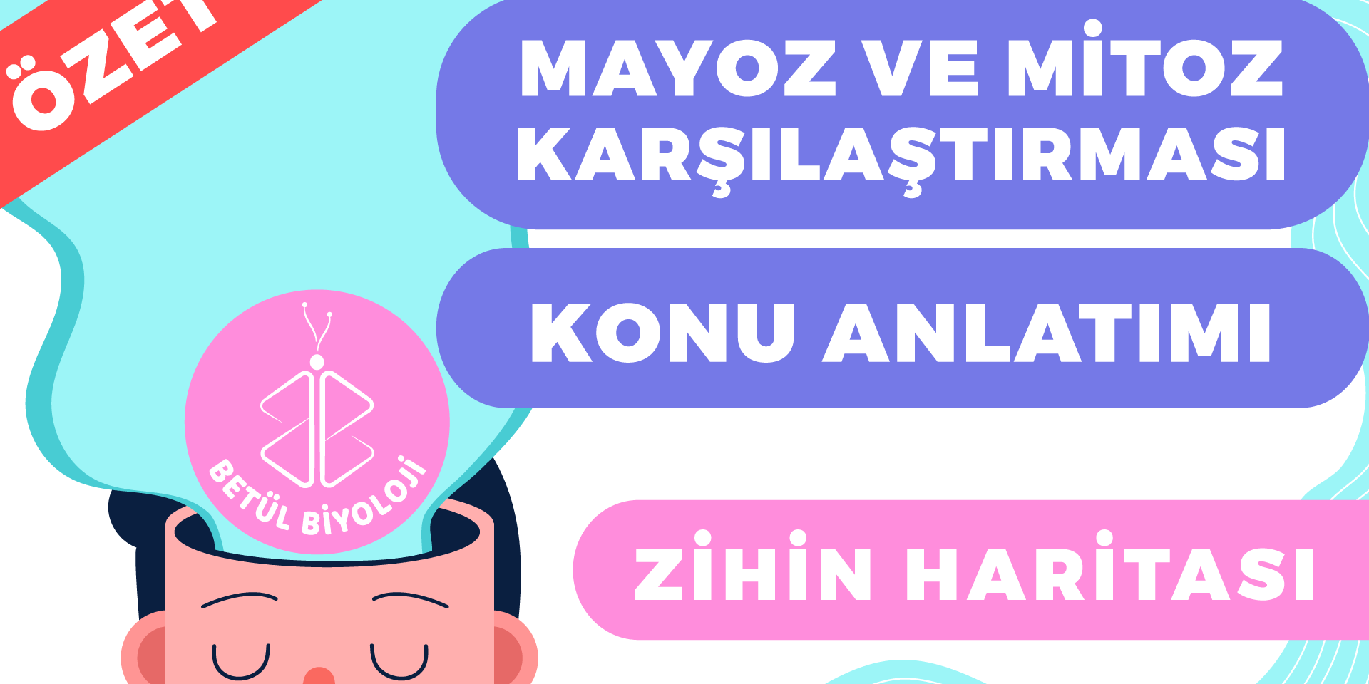 mayoz_mitoz_bölünme_karşılaştırması