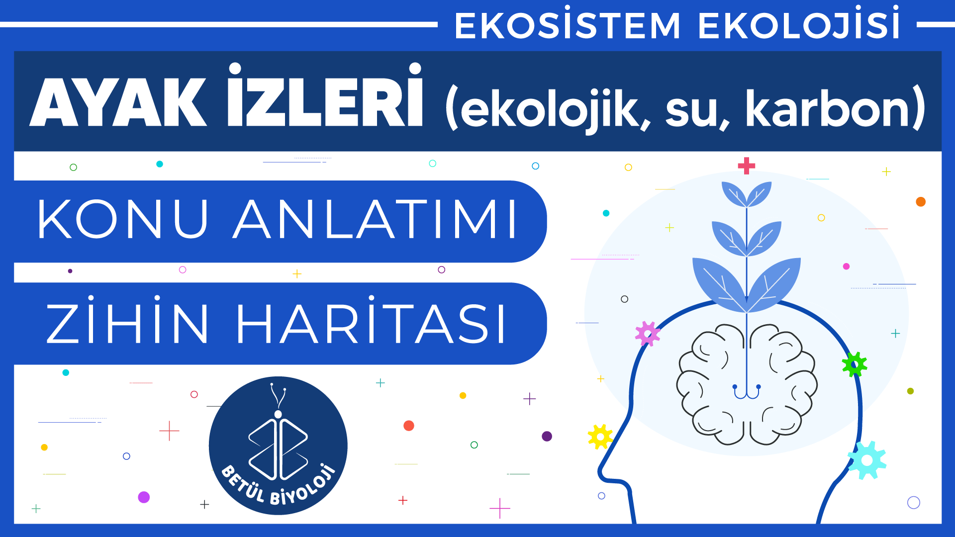 ekolojik_ayak_izi_karbon_ayak_izi_su_ayak_izi