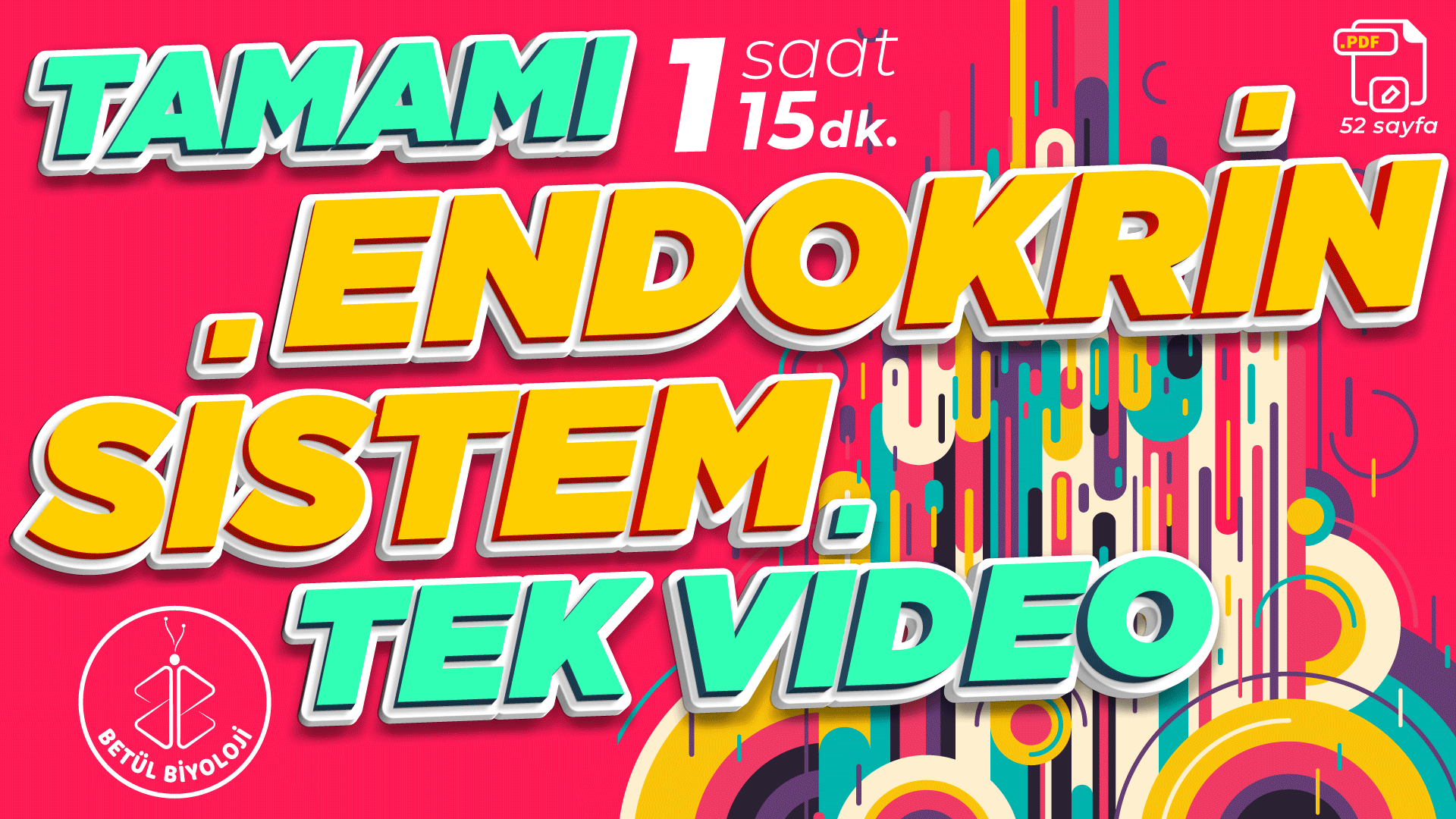 endokrin_sistem_full_tekrar_genel_tek_video