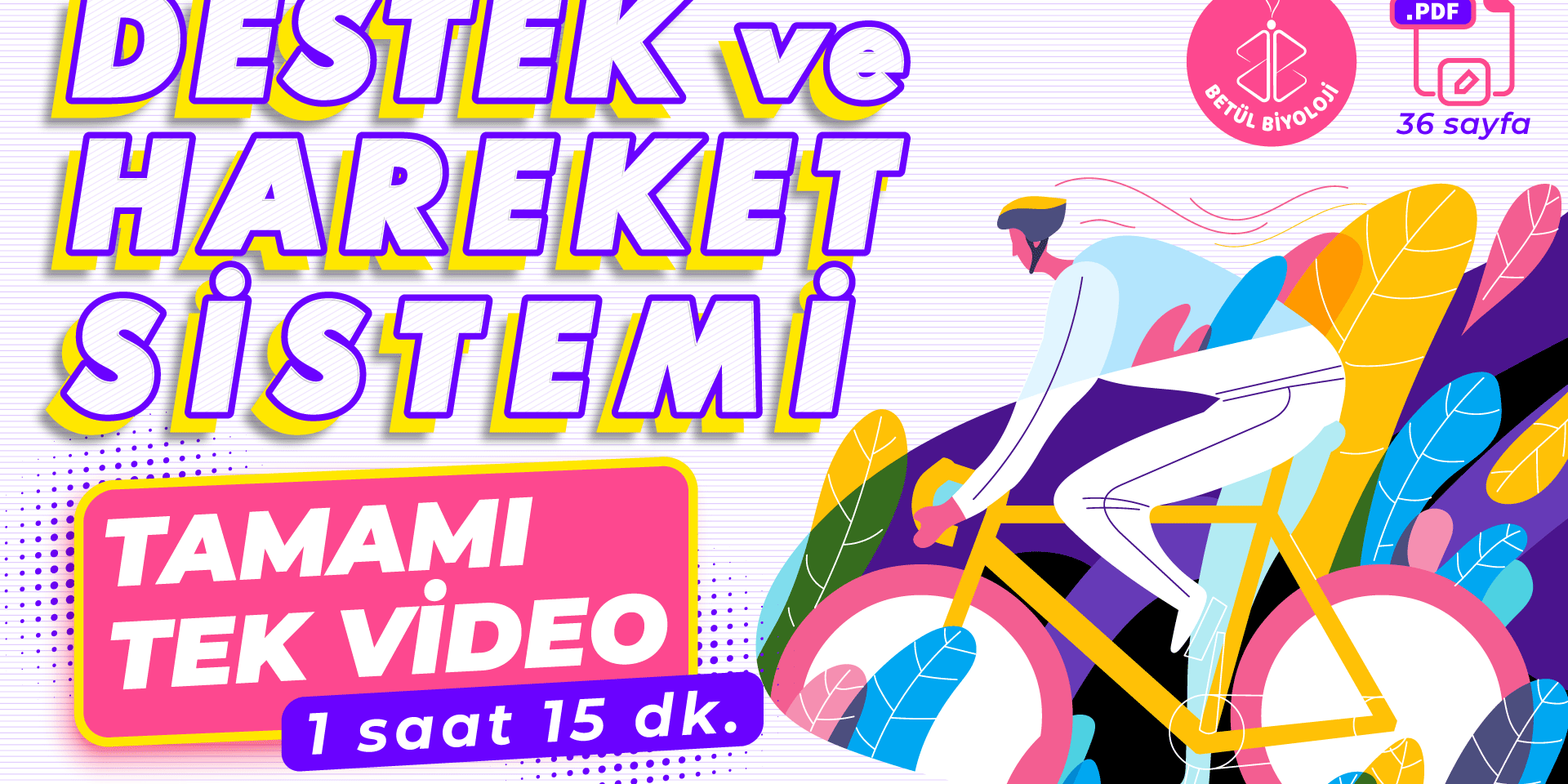 destek_ve_hareket_sistemi_full_genel_tekrar_tek_video