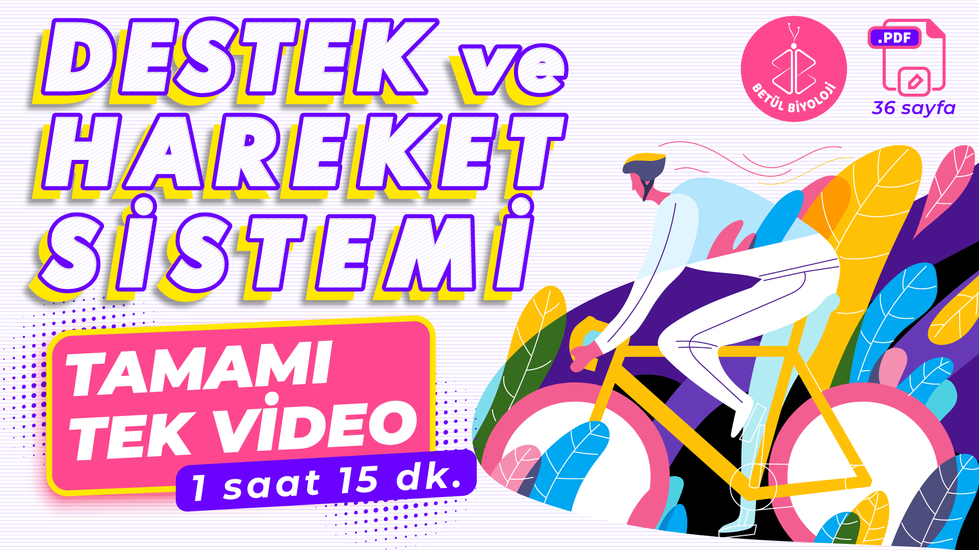 destek_ve_hareket_sistemi_full_genel_tekrar_tek_video