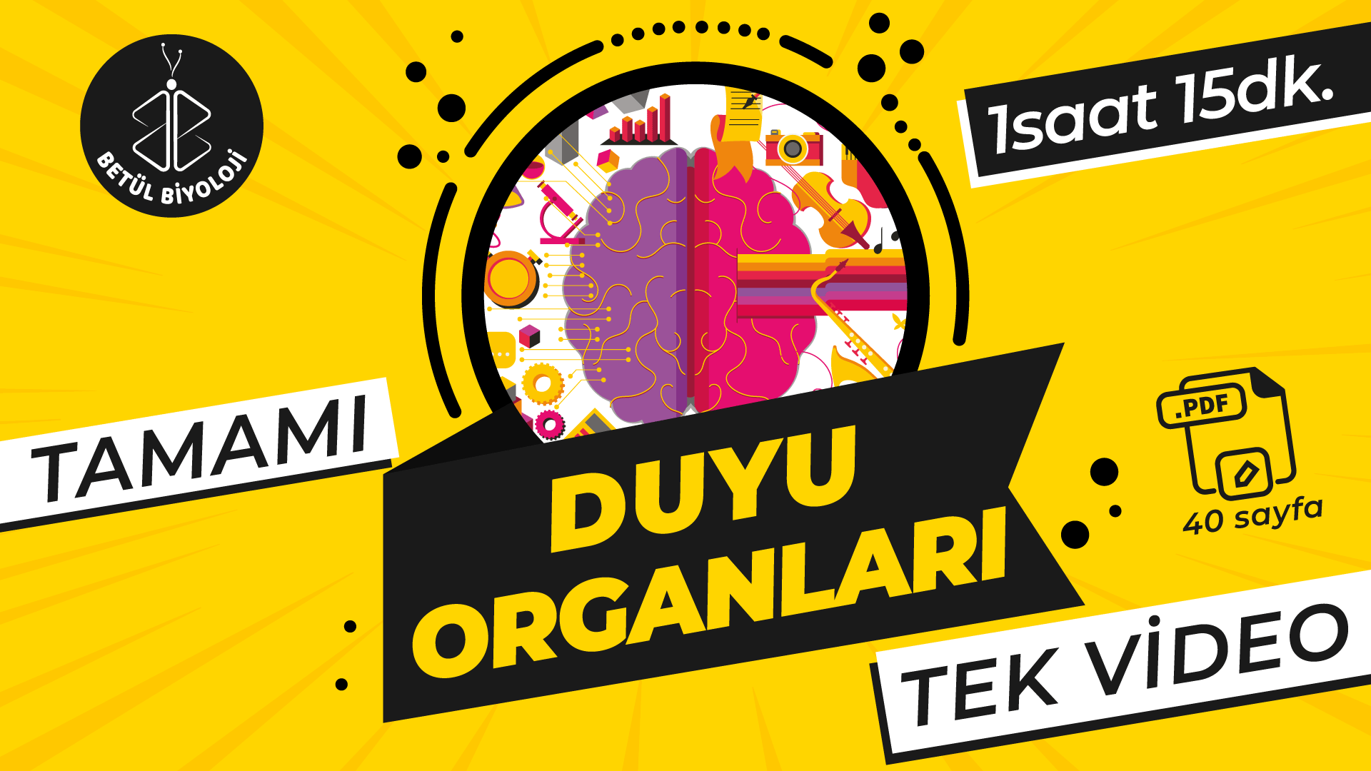 duyu_organları_full_genel_tekrar_tek_video