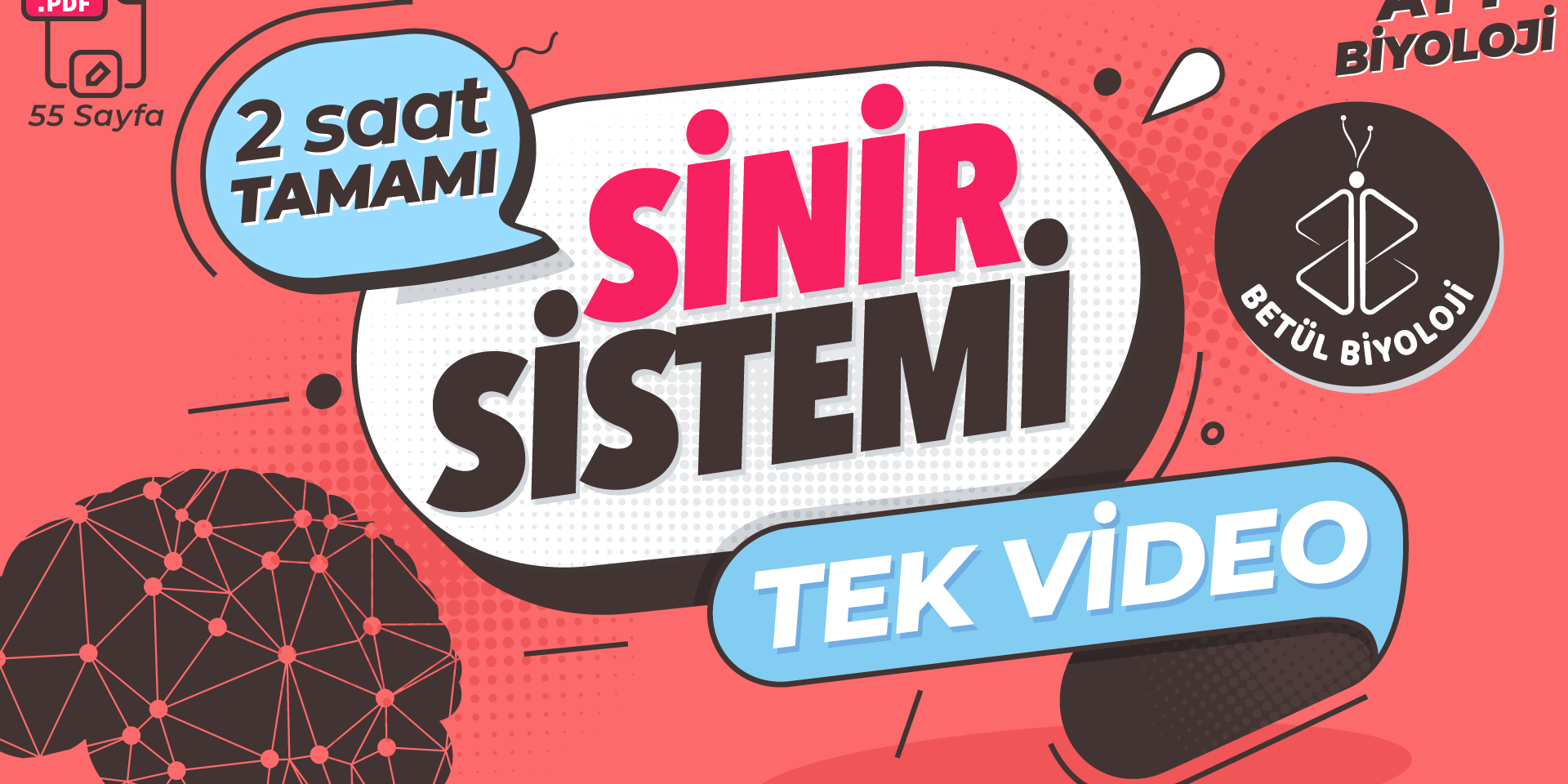 sinir_sistemi_tekrar