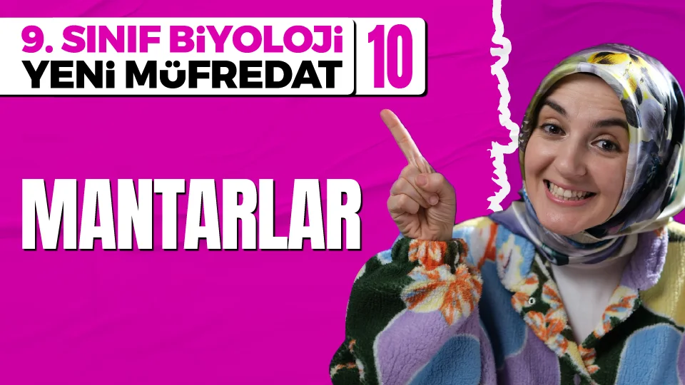 Mantarlar Alemi 9. Sınıf Biyoloji Maarif Modeli Konu Anlatımı Görseli