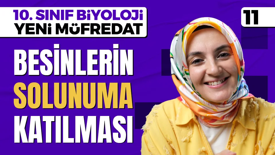 Besinlerin Solunuma Katılma Yolları 10. Sınıf Biyoloji Maarif Modeli PDF İndir Görseli