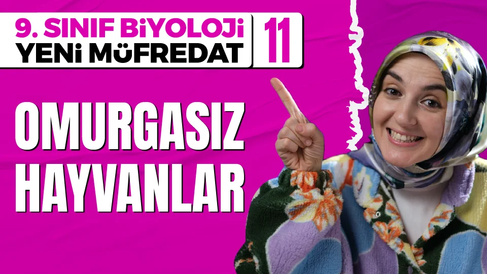 Omurgasız Hayvanlar 9. Sınıf Biyoloji Maarif Modeli Konu Anlatımı Görseli