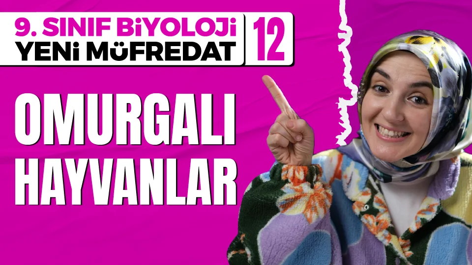 Omurgalı Hayvanlar 9. Sınıf Biyoloji Maarif Modeli Konu Anlatımı Görseli