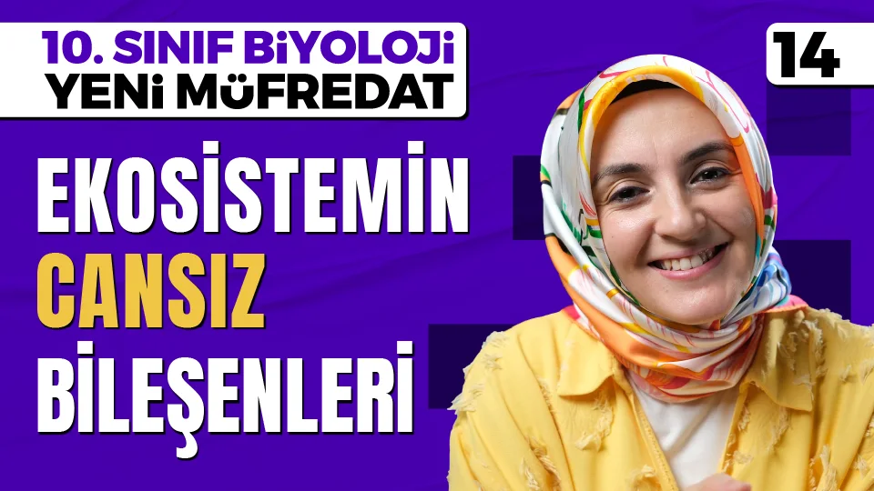 Ekoloji - Ekosistemin Cansız Bileşenleri 10. Sınıf Biyoloji Maarif Modeli PDF İndir Görseli
