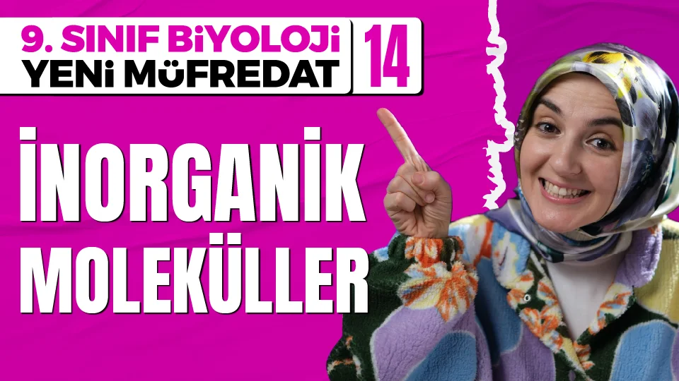 İnorganik Moleküller 9. Sınıf Biyoloji Maarif Modeli Konu Anlatımı Görseli