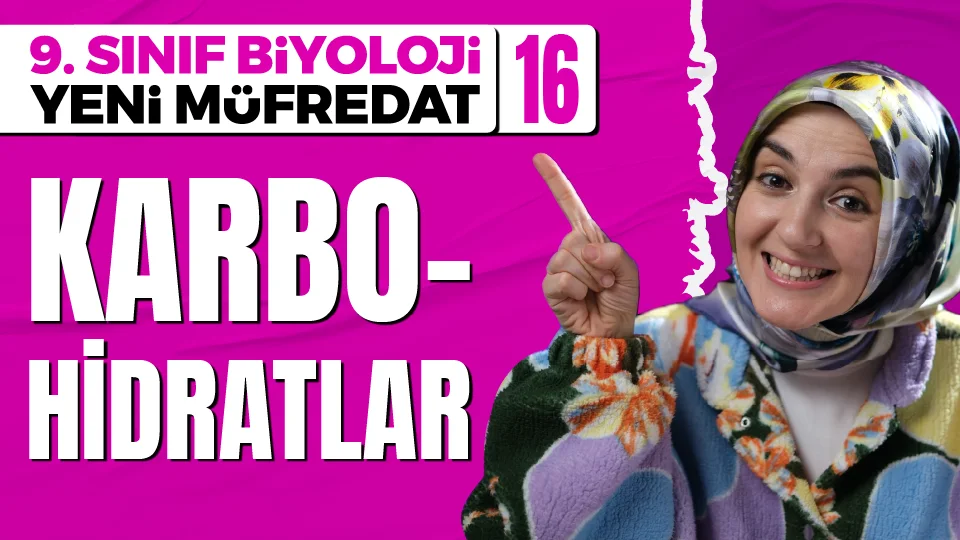 Karbohidratlar 9. Sınıf Biyoloji Maarif Modeli Konu Anlatımı Görseli