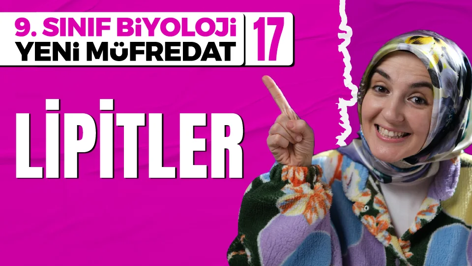 Lipitler 9. Sınıf Biyoloji Maarif Modeli PDF İndir Görseli
